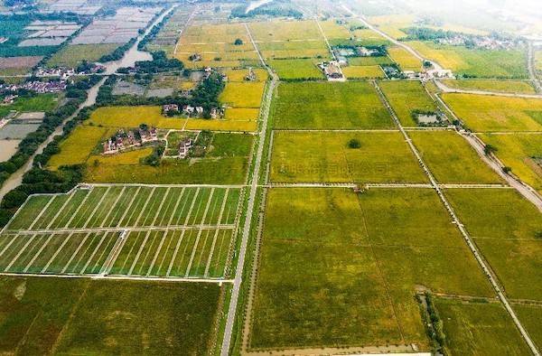 高标案例丨托普云农助力善琏镇农田“数智”升级